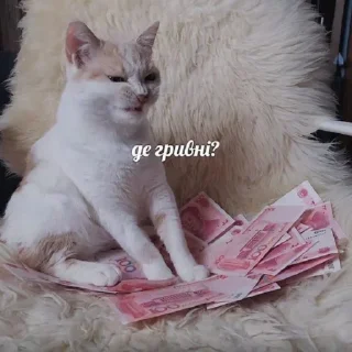 Sticker from сдохла когда краш это мать
