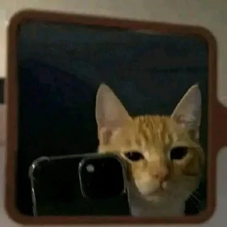 🌟 emoji Крута Telegram sticker 13 of 72