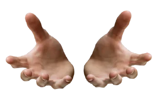 🤲 emoji @pluzgo pix Telegram sticker 19 of 77