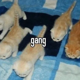 😎 emoji Пиписька Telegram sticker 16 of 33