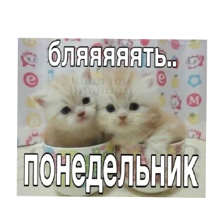 Sticker from Пиписька😜