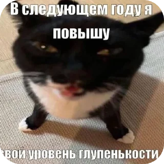 Sticker from Пиписька😜