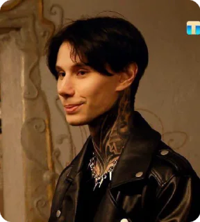 ☺️ emoji 🩶Dimochka Matveev🩶 Telegram sticker 23 of 42