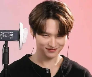 😏 emoji skz for all occasions (by rinasbye) Telegram sticker 20 of 113