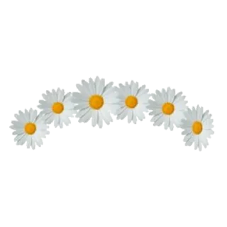 💐 emoji @graphicdesignerac Telegram sticker 17 of 79
