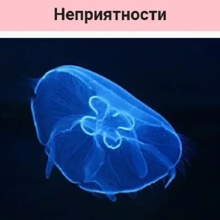😟 emoji Планета Гугл Telegram sticker 24 of 61