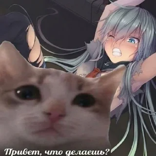 😃 emoji эчпочмак с чюпепным чаем Telegram sticker 8 of 115