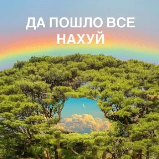 🌟 emoji мне похуй нахуй, я в буддизме Telegram sticker 20 of 62