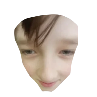 ✅ emoji какашки Telegram sticker 8 of 24
