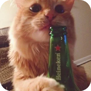 🐱 emoji вайб Telegram sticker 14 of 50