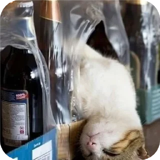 🐱 emoji вайб Telegram sticker 21 of 50