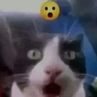 😮 emoji а э гав¿ Telegram sticker 23 of 35