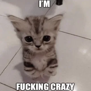 🤪 emoji ксюшк душка Telegram sticker 22 of 60