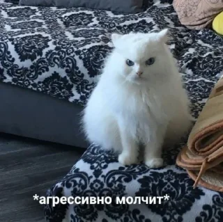 😾 emoji мои стикерочки Telegram sticker 19 of 27