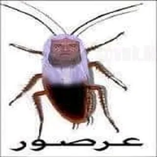 🪳 emoji لعن الله عمر Telegram sticker 8 of 28