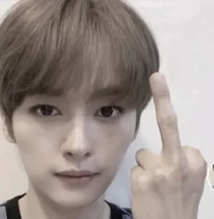 🖕 emoji Minho Telegram sticker 13 of 90