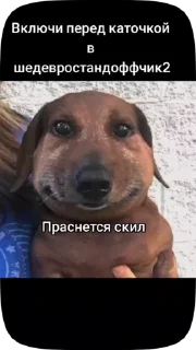 🌟 emoji Пак самсы Telegram sticker 3 of 39