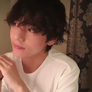 🐻 emoji taehyung @jeonlie Telegram sticker 8 of 40