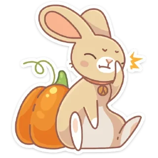 🤍 emoji Зайчик. Telegram sticker 6 of 48