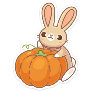 🤍 emoji Зайчик. Telegram sticker 16 of 48