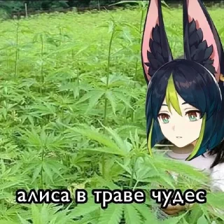 Sticker from Грибоед_ушастик