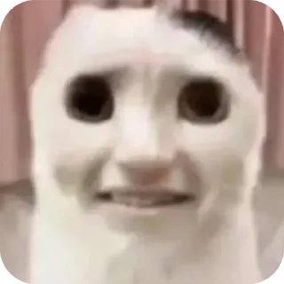 👍 emoji Просто стикеры Telegram sticker 21 of 60