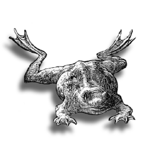 🐸 emoji @TVstickers Gallery Telegram sticker 23 of 39