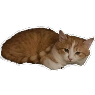😟 emoji ❤️ Telegram sticker 22 of 120