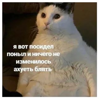 🤔 emoji типа лол Telegram sticker 4 of 22