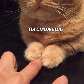 ❤️ emoji Щиищ Telegram sticker 12 of 18