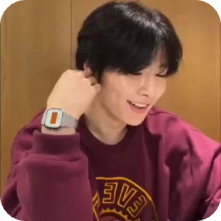 🌟 emoji JEONING |@STRAYKIDS_WIENER| Telegram sticker 22 of 22