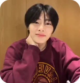 🌟 emoji JEONING |@STRAYKIDS_WIENER| Telegram sticker 5 of 22