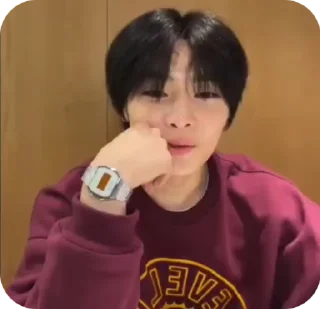 🌟 emoji JEONING |@STRAYKIDS_WIENER| Telegram sticker 10 of 22