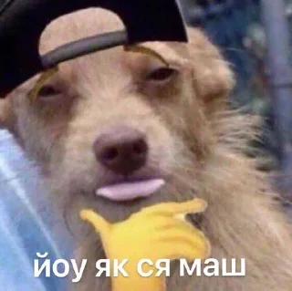 🌟 emoji меми українською Telegram sticker 22 of 35