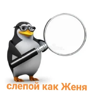 🐧 emoji Жоске пингвиняты 8б Telegram sticker 8 of 38