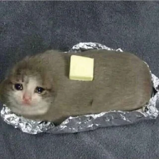 😋 emoji Suicide cats Telegram sticker 22 of 112