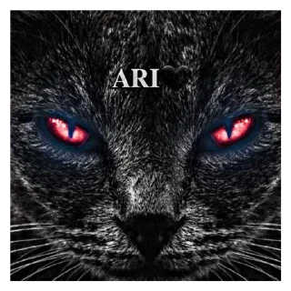 🌑 emoji Ari Telegram sticker 24 of 33