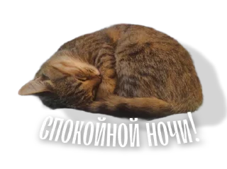 😴 emoji Beseda FLP Telegram sticker 1 of 88