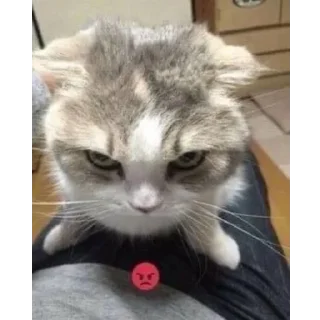 🤬 emoji фейм инета Telegram sticker 20 of 80