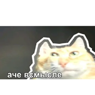 🐱 emoji my mems sticker Telegram sticker 8 of 15