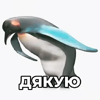 🐧 emoji Волинський андеграунд @ProbkaMeme Telegram sticker 17 of 119