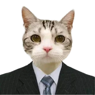 👨‍⚖️ emoji Деловой Пак - @treklyatyj_squad Telegram sticker 16 of 28
