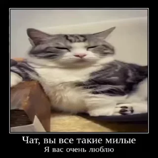 Sticker from Няшики by @DuoSticker_bot