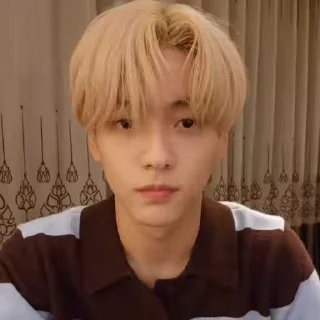 🎍 emoji ⌗soobin fr txt @archlwood Telegram sticker 5 of 40