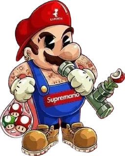 Sticker from Mario brothers