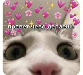😊 emoji Favorite stickers Telegram sticker 9 of 38