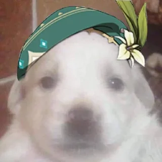 🐶 emoji Моськи из геншин by @gihsrstic Telegram sticker 20 of 24