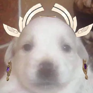 🐶 emoji Моськи из геншин by @gihsrstic Telegram sticker 16 of 24