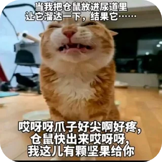 🐶 emoji DIY с уретрой Telegram sticker 21 of 24