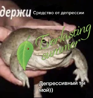 😔 emoji Бля, держи Бесконечное Лето Telegram sticker 21 of 22